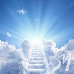   Library art center '    